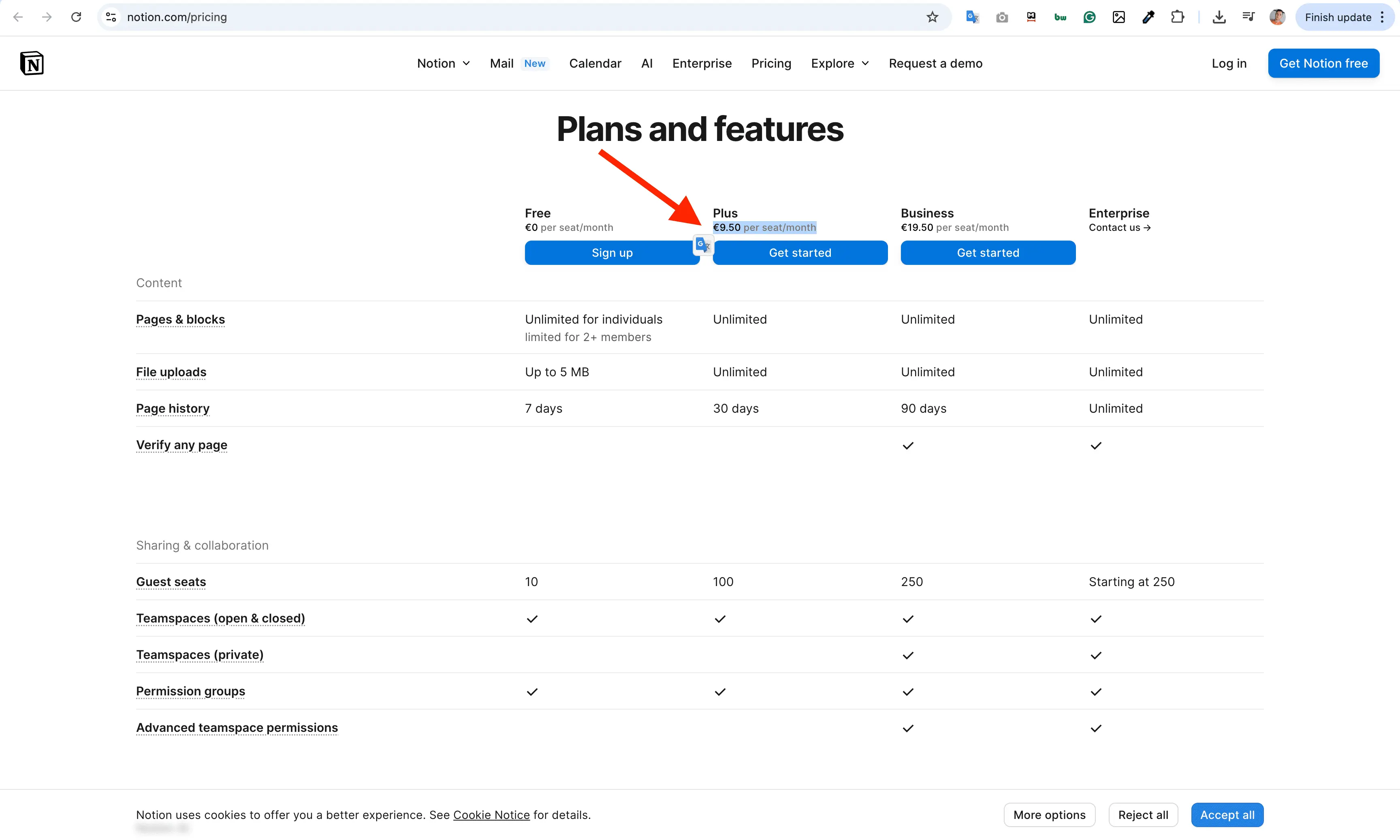 Notion Pricing